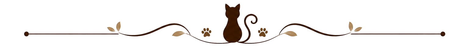 Chat Roule ? Le Bouscat